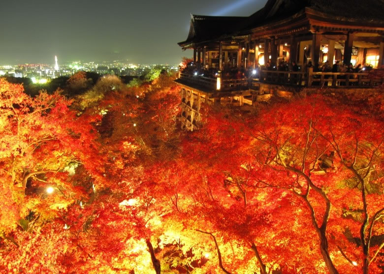 �ձ���������ȫ��������γ���