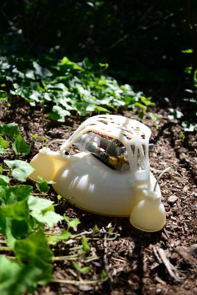 在户外环境中的机器人图片