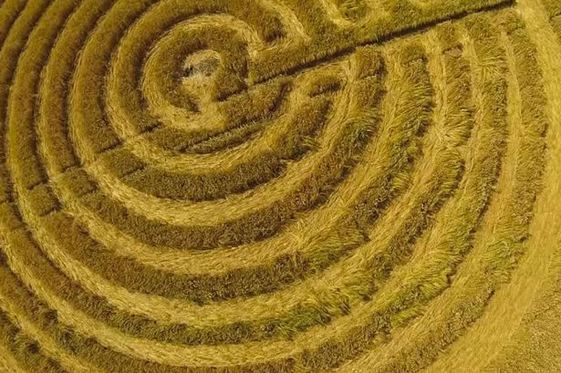 英国麦田怪圈研究网站MrGyro公布的无人机视频显示巨石阵附近惊现麦田怪圈