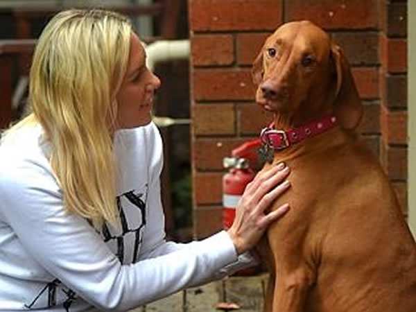 2岁的希拉机警发现家中后院失火,及时救了睡梦中的主人一命。