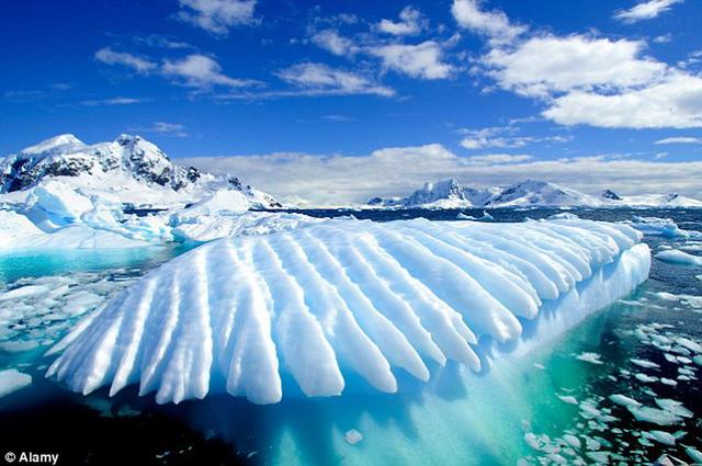 如图所示,这是海洋冰原逐渐融化的情景。最新研究显示,未来海平面将升高6米,或将淹没许多城市。