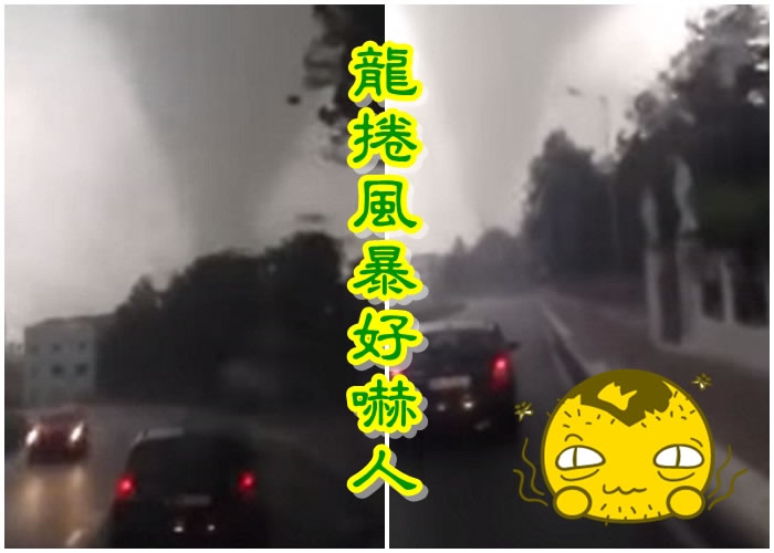 ���������������类��ͣ��