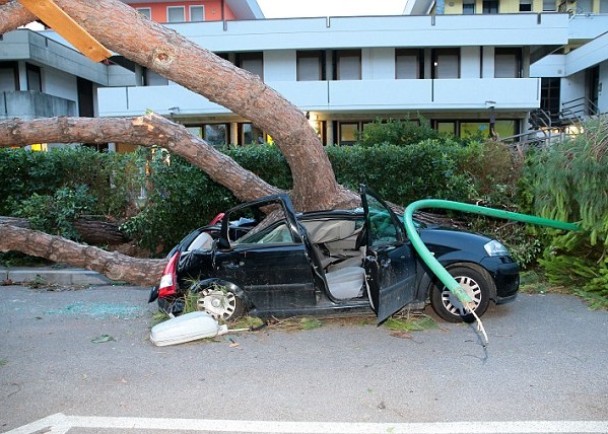 �籩��ɵ���һƬ�ǽ裬������������ѹס��