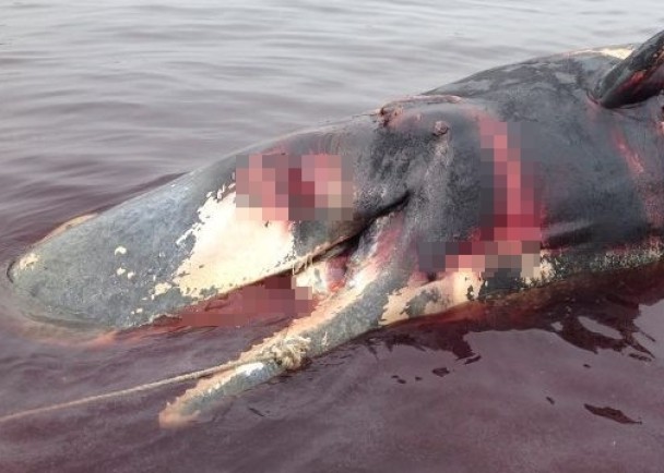 �¼���ԣ�ȵ��������һ��Ĩ�㾨ʬ��