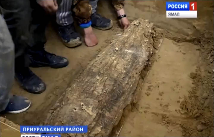 ˹ѧھ뱱Ȧ30ﴦ߶ͯľ رȦй