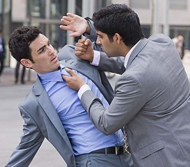 打架对于动物包括人类而言,是常见的事。