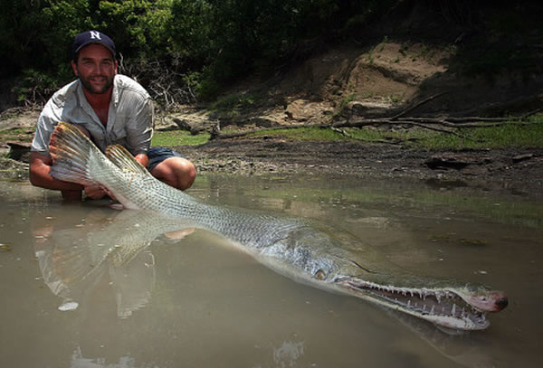 ڵ¿˹ݷֵһȸܴﵽ140ǧˣԴﵽ1͡