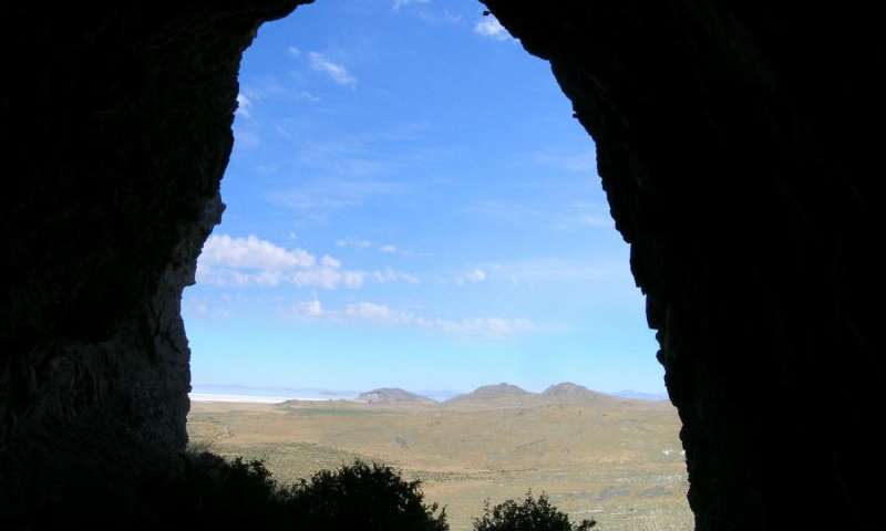 ��ʯ��������������̬ϵͳ�ָ�