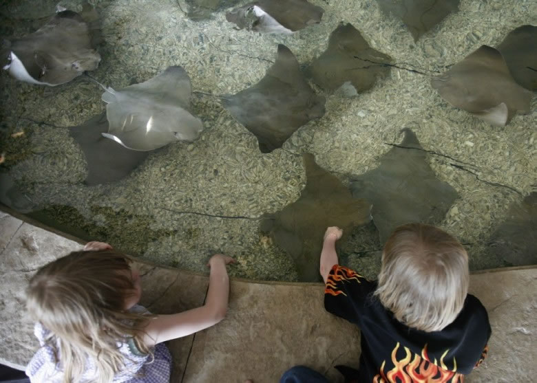 ��³�˷ƶ��¶���԰��ħ����ǳ�أ��ж��54��ħ����ȱ��������