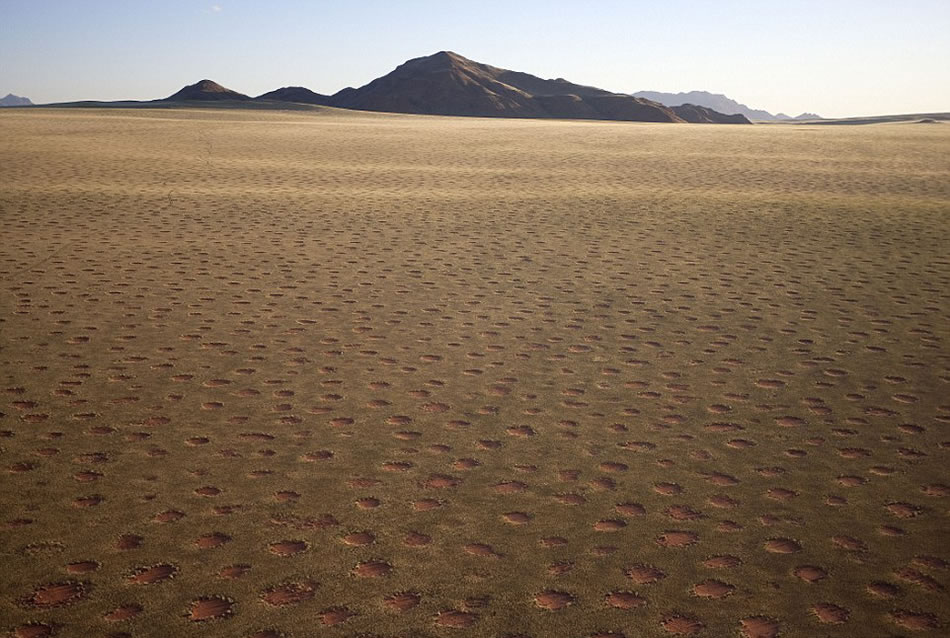 非洲南部纳米比亚荒漠上出现的无数“精灵怪圈”引发许多猜测,包括UFO到访、土壤受到放射性污染、植被竞争营养和水源等
