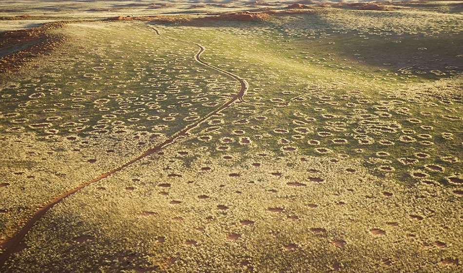 在2010年到2014年期间,德雷斯勒曾3次乘坐热气球或小飞机访问纳米布荒漠,并拍摄到大量“精灵怪圈”照片