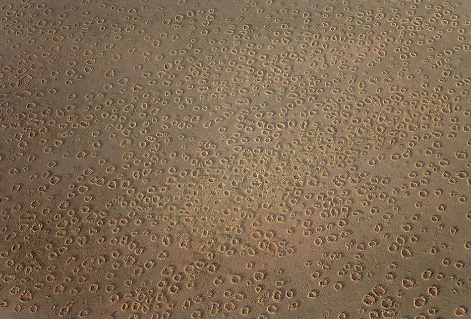 “精灵怪圈”已经困扰科学家们数十年,它们经常在2000公里长的荒漠中出现。当地传说称它们是神明的脚印