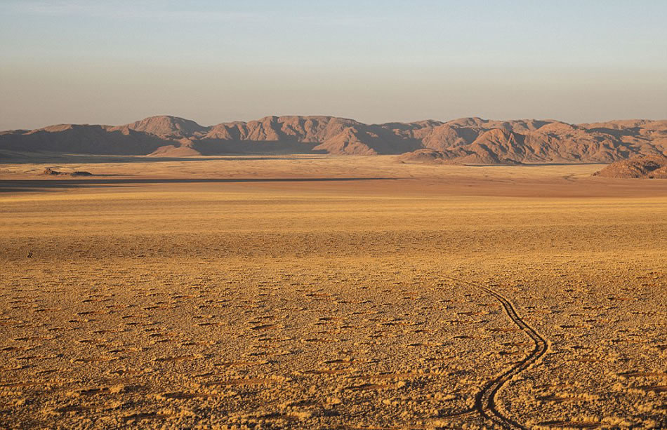 “精灵怪圈”常常出现在纳米比亚东海岸的纳米布荒漠中
