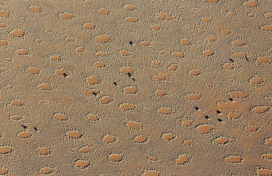 许多当地人认为“精灵怪圈”可能是羚羊等动物的睡眠之地,但鲜有证据支持这种理论