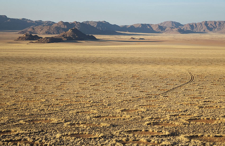有些人称“精灵怪圈”可能是UFO留下的,但是“精灵怪圈”的数量和分布范围显然难以解释