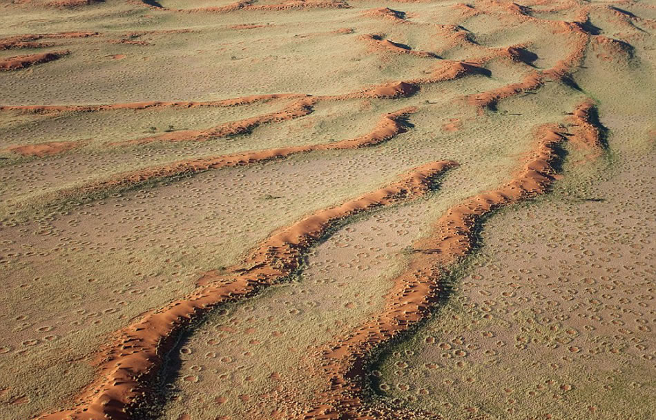 “精灵怪圈”创造的地貌就像月球表面密密麻麻的陨石坑表面