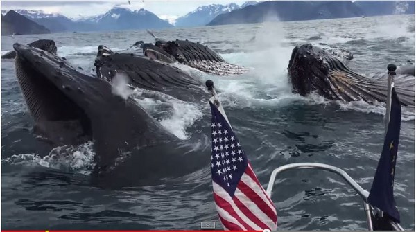 ��������˹�Ӹ�������ʮͷ��ͷ��ͻȻ�����׳��