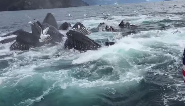 ��������˹�Ӹ�������ʮͷ��ͷ��ͻȻ�����׳��