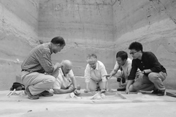 南非学者在发掘现场考察