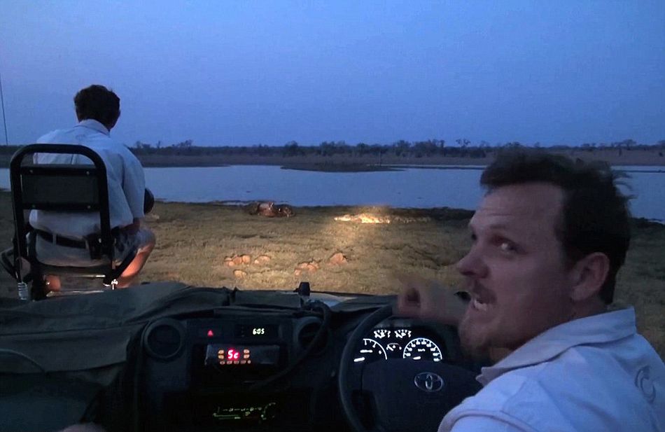 南非克鲁格国家公园饥饿鳄鱼要从雄狮口中夺食最终被击退