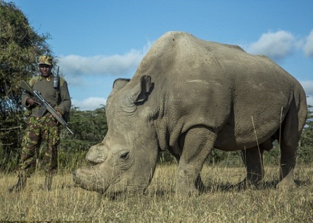 �յ���ȫ��˶����������԰�Ϭţ