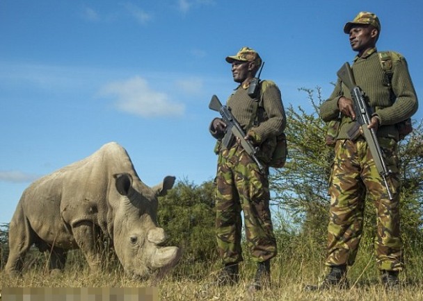 ����������ҹ��ǹ�ػ��յ���������Ϊ���˵�Ŀ�ꡣ