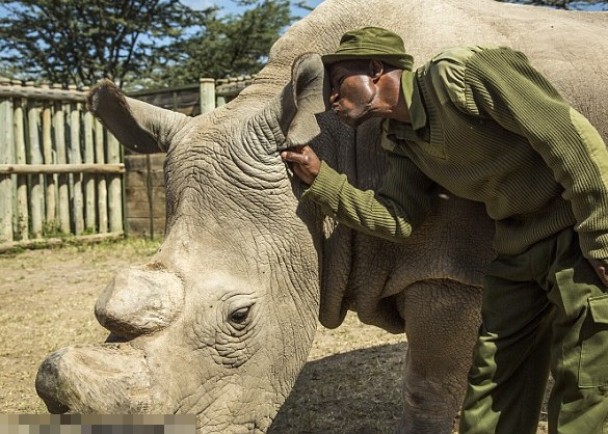 �յ��������ദ��Ǣ