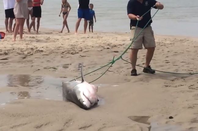 ��ԮԱ������ס�����