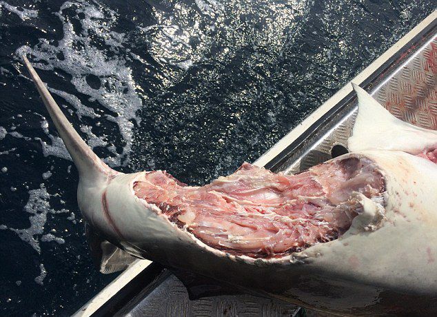 רΪ͵Ʒֳ֣ú̬б䡣