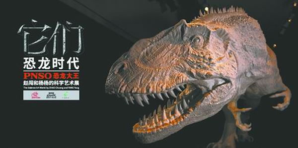 ���ǣ�����ʱ������PNSO ���������Դ��������ѧ����չ