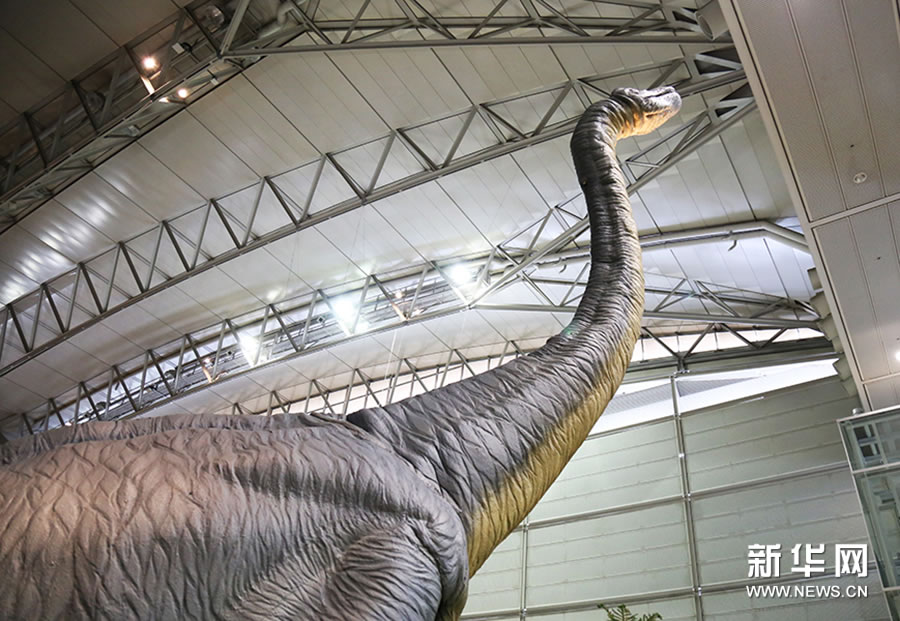 “逼近巨大化之谜”大型恐龙展在日本千叶县幕张国际展馆拉开序幕
