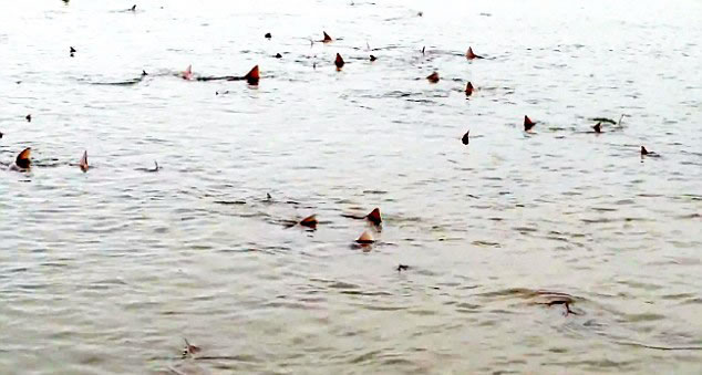 Ӣ������˹����Ȼ����������ǳ�����޳������û