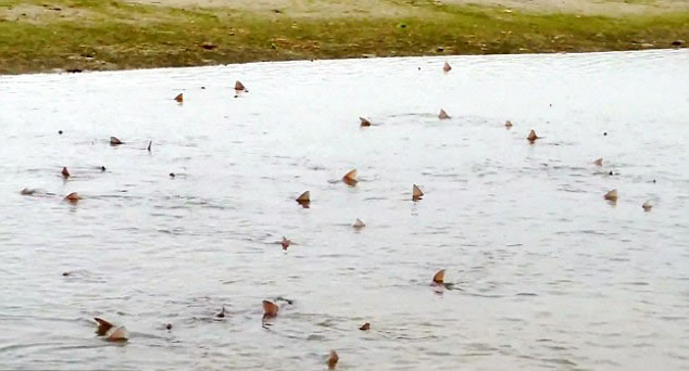 Ӣ������˹����Ȼ����������ǳ�����޳������û