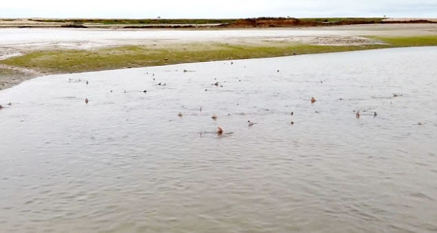 Ӣ������˹����Ȼ����������ǳ�����޳������û