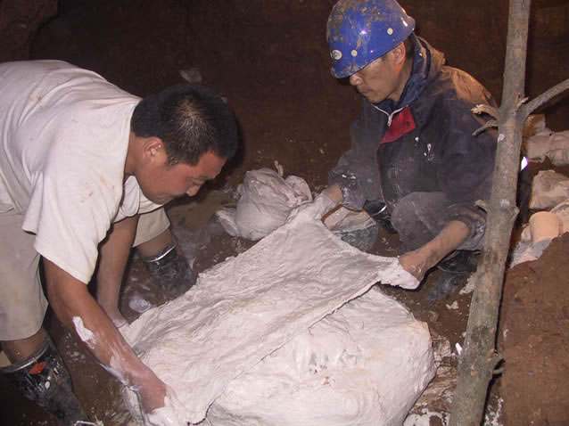 ͼ㲩ʿʶӶԺӱػʵɶ췢