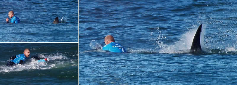 �Ϸǳ��˱����Ĵ�����ѡ���������㹥����ײ�³��˰�