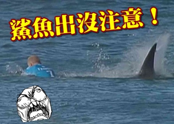 ����β�淶�����󣩡�