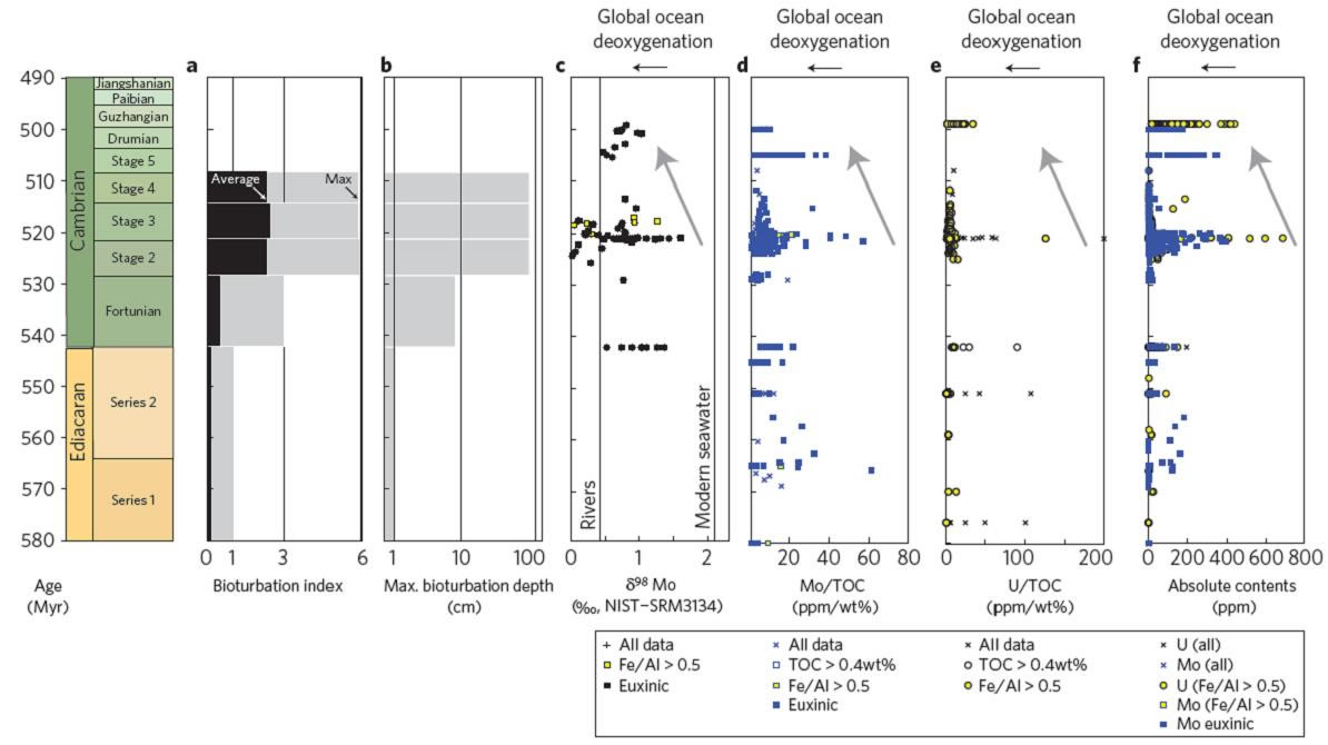ˮԭѧָŶںʹ󱬷֮ˮˮƽ͵
