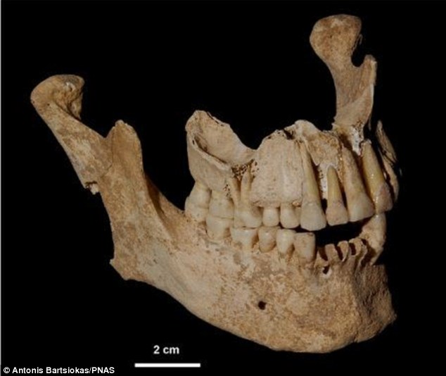 关于马其顿菲利普二世墓的新见解