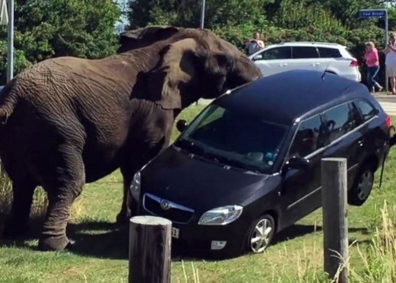 ��������Ǻ���������ͣ��һ�Ե�����