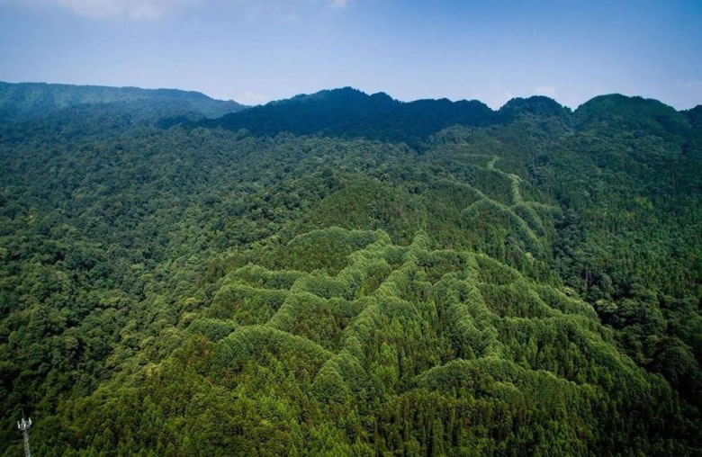 山脊上出现“犇”字图案,但原因尚无定论。