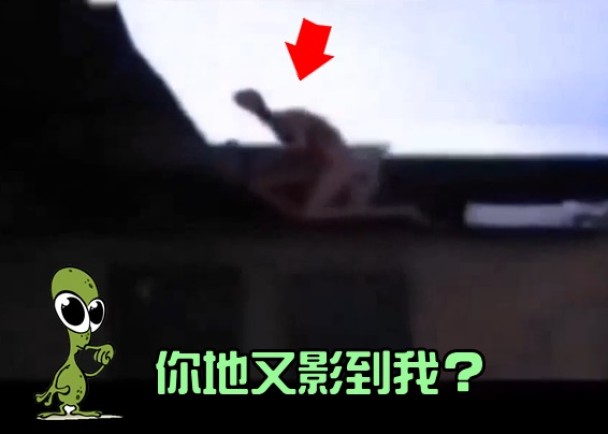 ��������ȫ�����㣬һ���ۺ�ɫ����