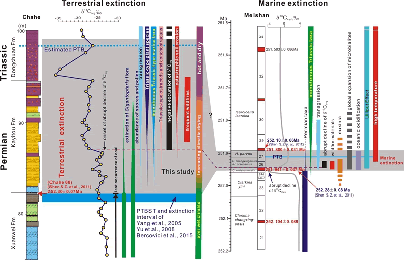 ������-�����ͺ��ࡢ½�����������ۺ϶Ա�