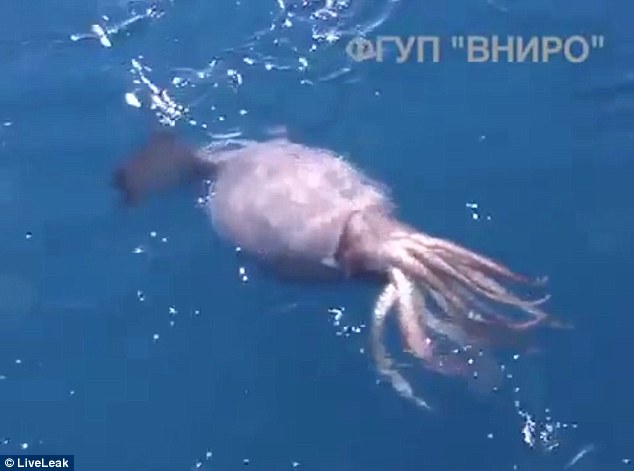 Ŀǰ�в������Ա���������һ���������㣬�������͸���Ĵ����Ὤ�ϡ�