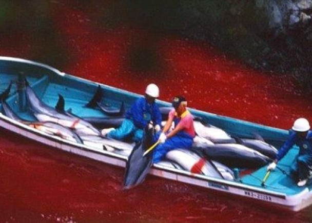 вѷȺԾĻձ̫ԺࣨͼȽϡ