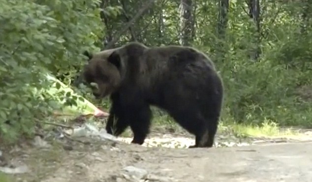 ��ʳ���ȱ����˹�������Ǻ��ܼ����ܿ�ʼ��Ĺ��ʳʬ��