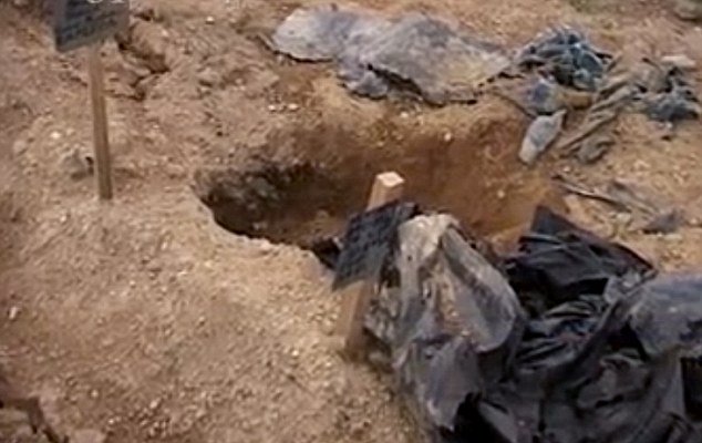 ��ʳ���ȱ����˹�������Ǻ��ܼ����ܿ�ʼ��Ĺ��ʳʬ��