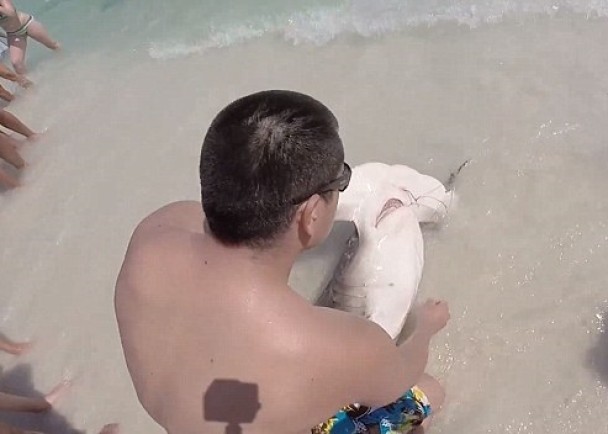 ����Ѵ�ͷ����������