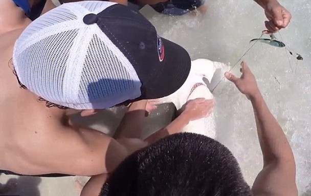 ���˺���Ϊ��ͷ���Ƴ����h