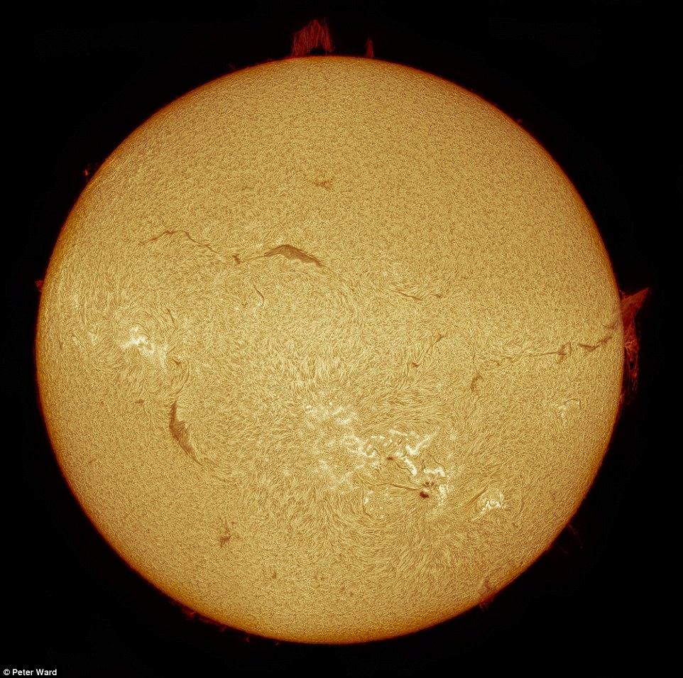 摄影师Peter Ward的作品《Solar Crown》获得太阳系天文摄影类摄影奖